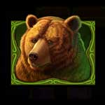 Wild Bison Symbol niedźwiedzia