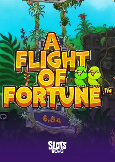 A Flight of Fortune Przegląd slotów