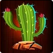 Beef Up The Bonus Symbol kaktusa