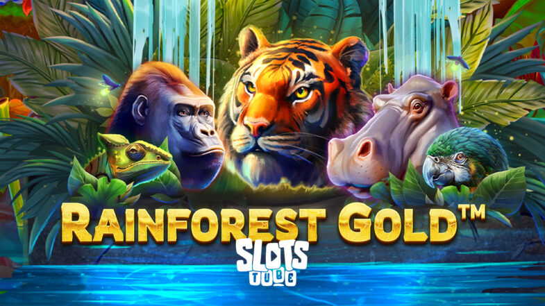 Rainforest Gold Bezpłatna wersja demonstracyjna