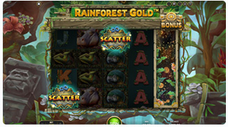 Rainforest Gold Darmowe obroty