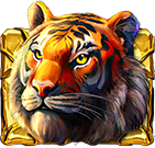 Rainforest Gold Symbol tygrysa