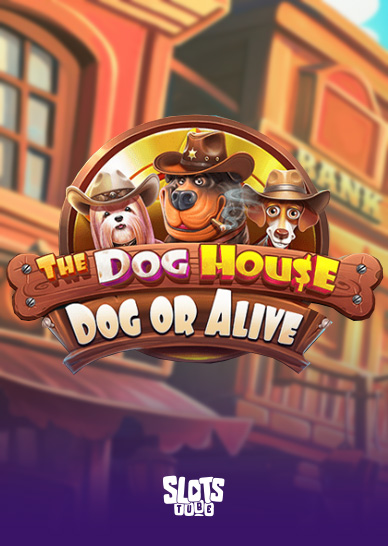 The Dog House - Dog or Alive Przegląd slotów