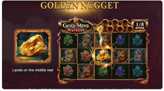 Funkcje Gold Mine Mistress