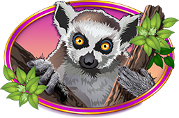 Congo Cash XL Symbol lemura