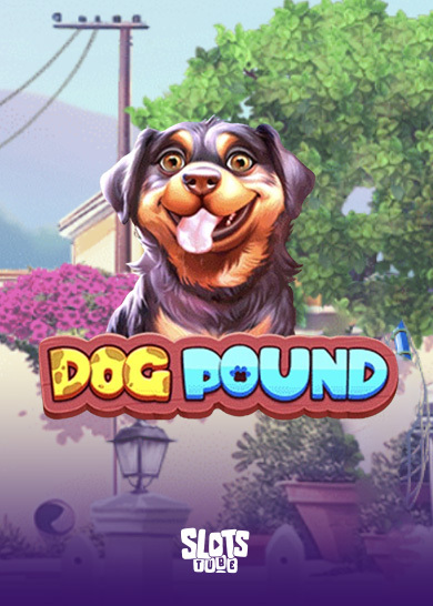 Dog Pound Recenzja slotu